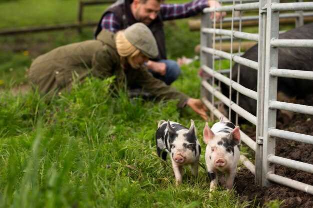 Significado simbólico de la alimentación de vacas en los sueños