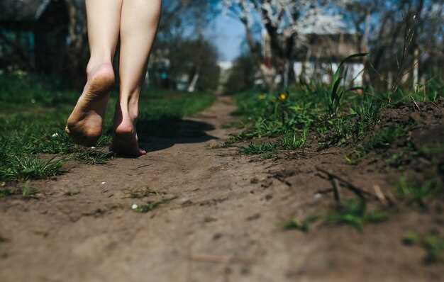 Relación entre el barro y la naturaleza humana