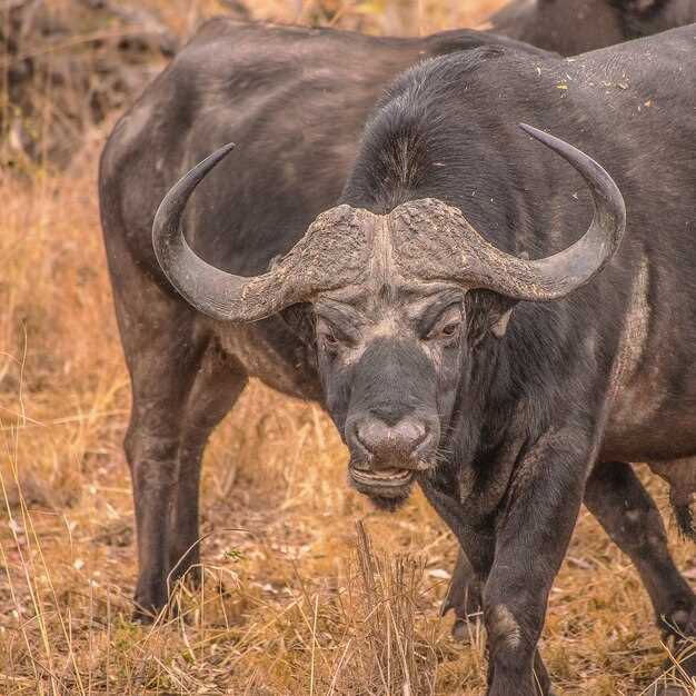 Conexión con la naturaleza