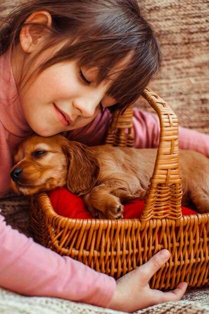 La importancia de prestar atención a los sueños con cachorros cariñosos