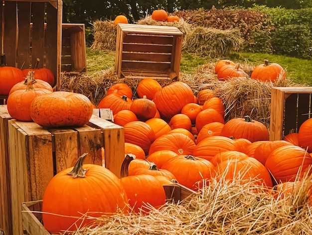 Significado de la calabaza en el contexto onírico