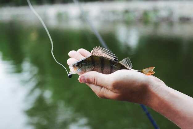 Los sueños de pescar peces pequeños y su simbolismo