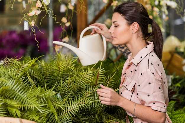 Cultivar plantas en macetas