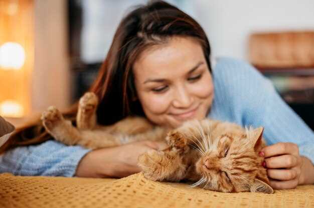 Sonar con echar al gato de casa: consejos para comprender su significado