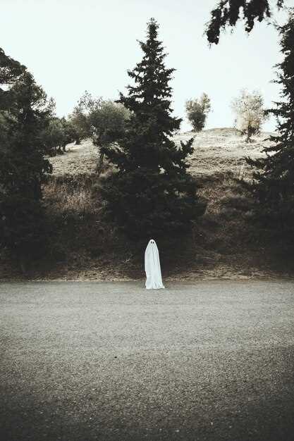 El significado de soñar con el camino al cementerio