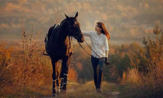 Interpretación de sueños con un caballo de cabalgata