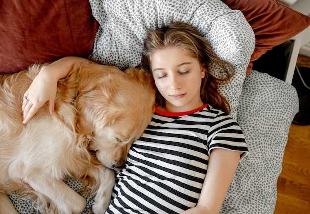 Cómo interpretar la amistad con un perro enfadado en sueños