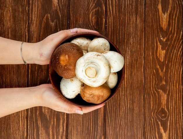 El Boletus Blanco: características y simbología