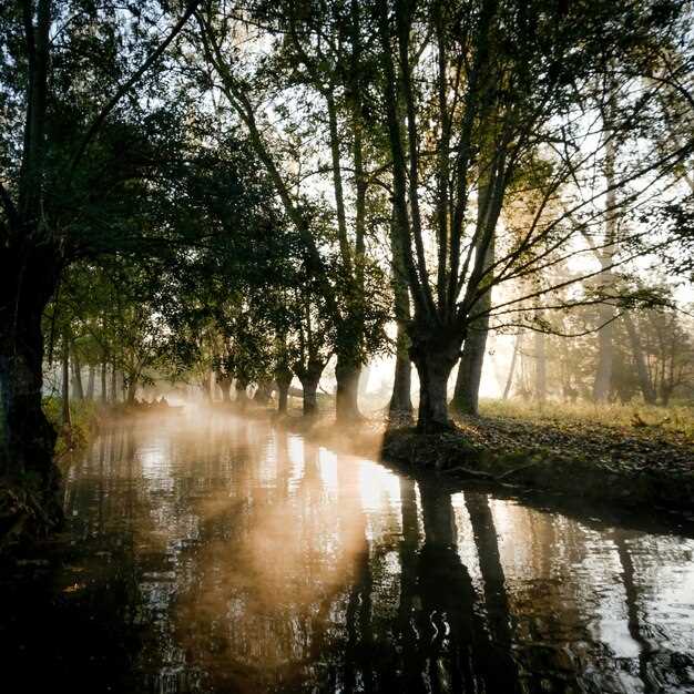 Simbolismo de los ríos en el bosque en los sueños