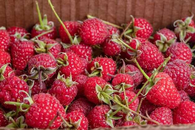 Interpretación de la recolección de frutos rojos grandes en sueños