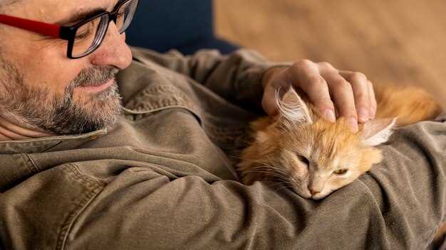 Gato Pelirrojo Cariñoso en los Sueños y la Intuición