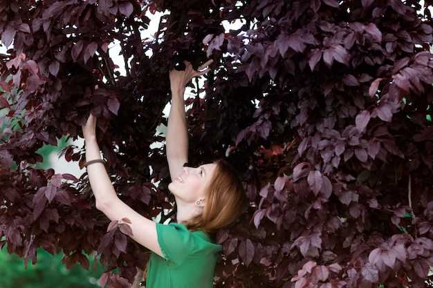 Ivy: una planta enigmática