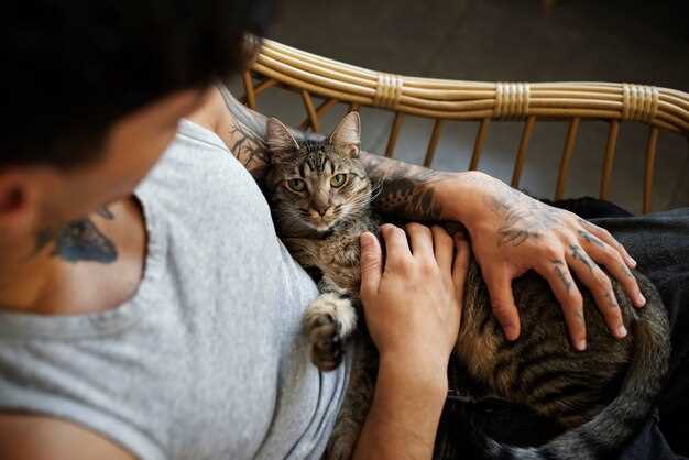 El simbolismo detrás de la muerte de un gato en sueños