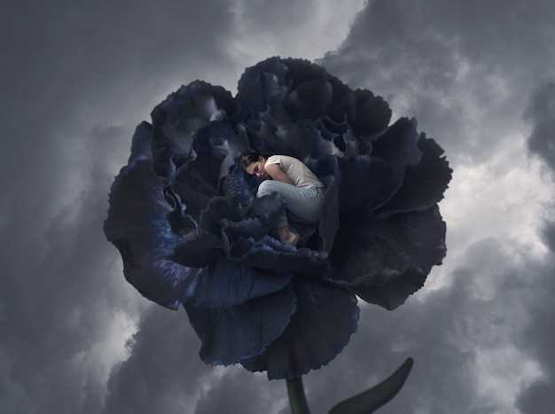 Interpretación personal