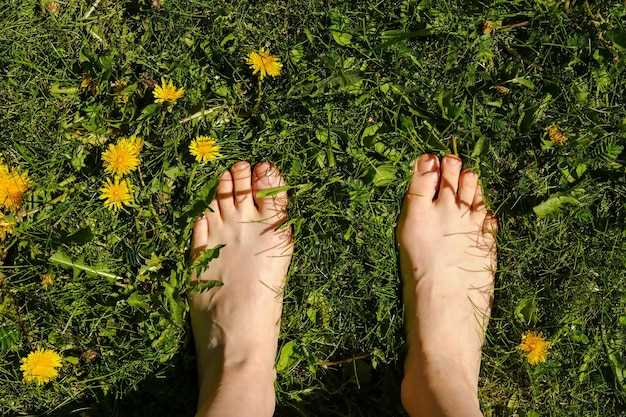 Qué significa interpretación