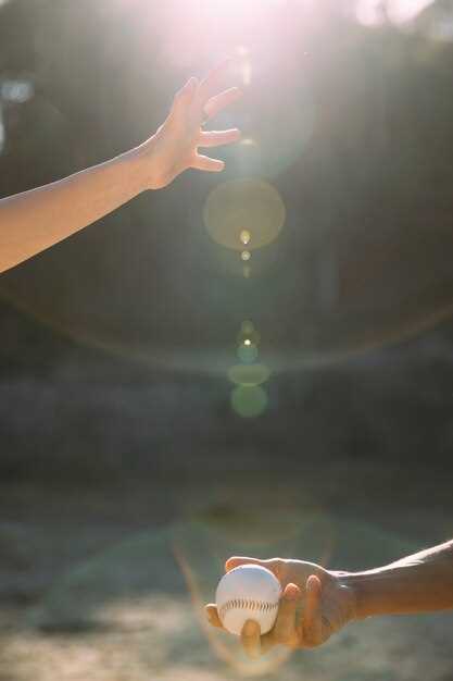 La interpretación literal