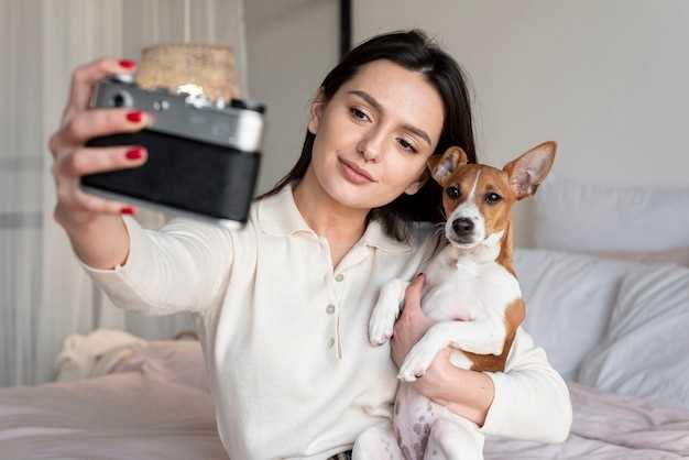 La fidelidad del perro