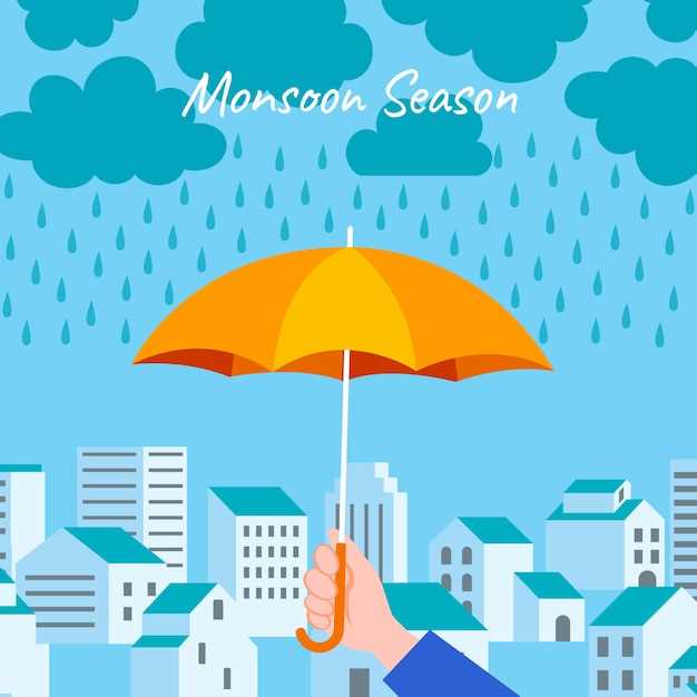 Interpretación de la lluvia en casa desde el techo en sueños