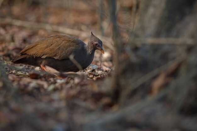 2. Inquietud y nerviosismo