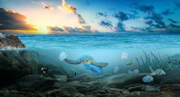 El Significado de Soñar con el Mar