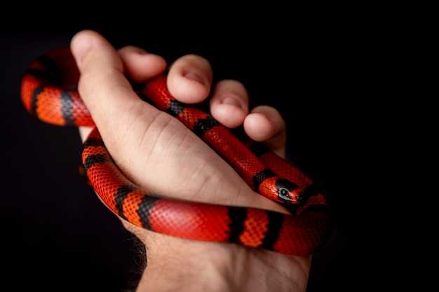 Sentimientos asociados con la mordedura de serpiente en la muñeca en sueños