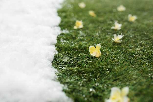 El simbolismo de la nieve en los sueños y su relación con la calma y la serenidad