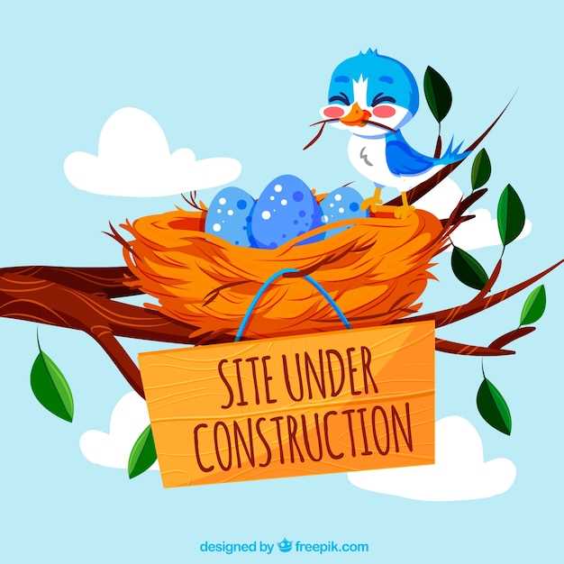 La importancia de cuidar de uno mismo