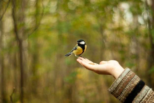 Conexión con la naturaleza