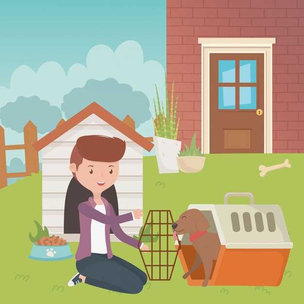 La importancia de entender el contexto del sueño