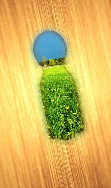 ¿Qué significa soñar con comprar una parcela?