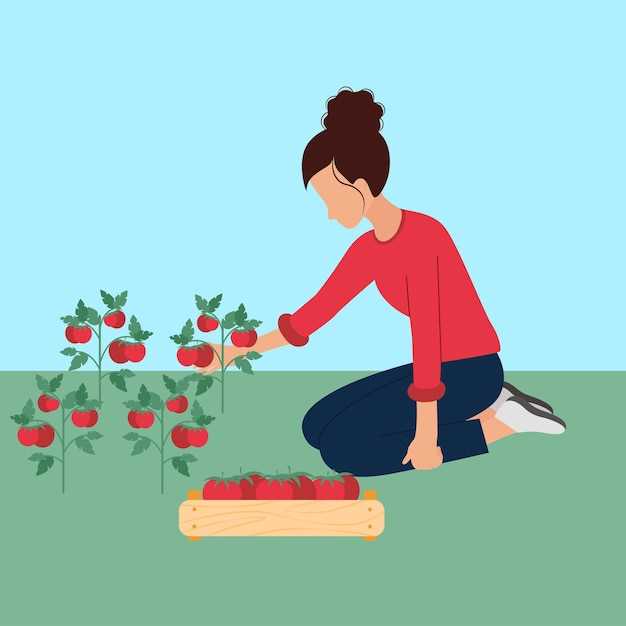 La interpretación espiritual de plantar la col en el suelo en sueños