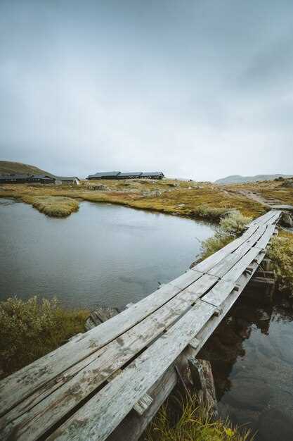 Puentes rotos