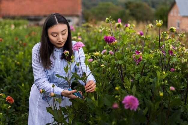 La interpretación positiva de recoger flores del parterre en sueños