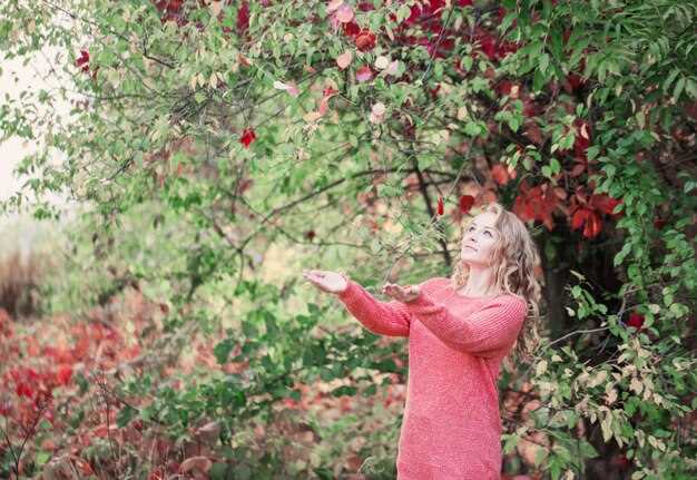Relación entre las manzanas y la felicidad en los sueños