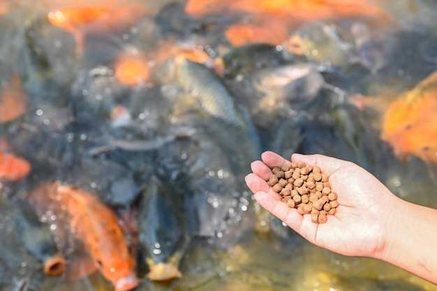 ¿Existe alguna conexión entre el sueño de recoger peces muertos y la vida real?