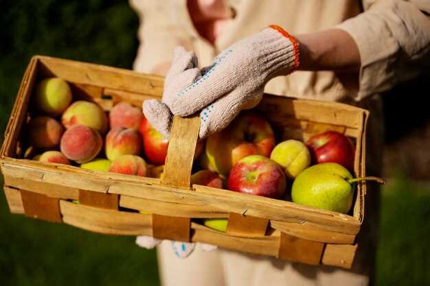 Manzanas maduras y jugosas