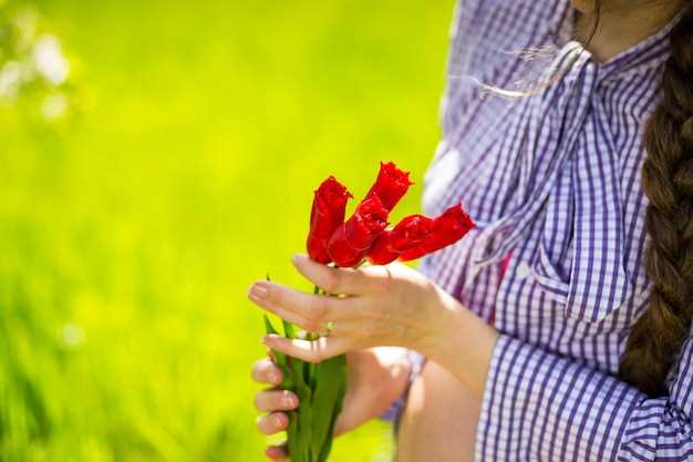 Amor apasionado y romance