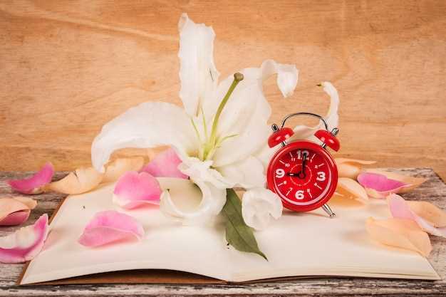 El regalo de un reloj como símbolo de despedida