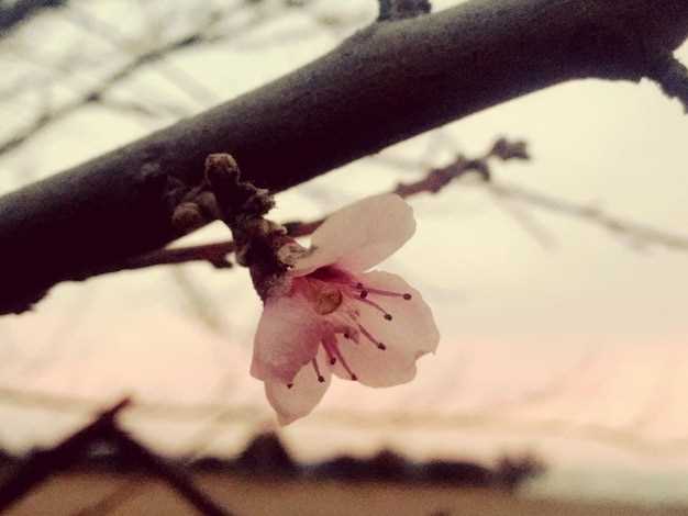 Renovación y cambio