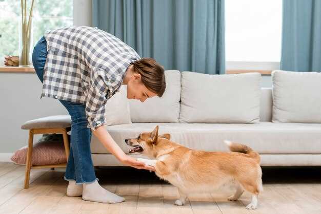 El significado de soñar con un buen animal en casa