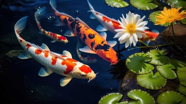 Posibles interpretaciones de soñar con un estanque lleno de peces grandes