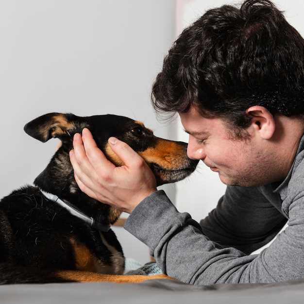 La interpretación psicológica de soñar con un perro matando a otro perro