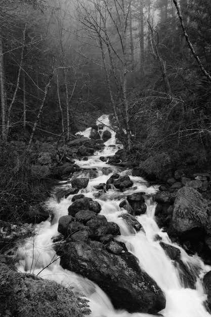 La importancia de la intuición en la interpretación de sueños con río turbulento