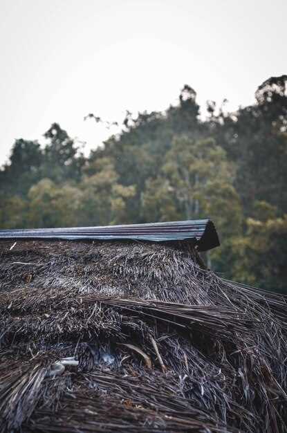 La relación con la naturaleza y el entorno