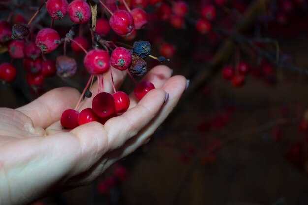 Posibles interpretaciones de una baya roja y grande en los sueños