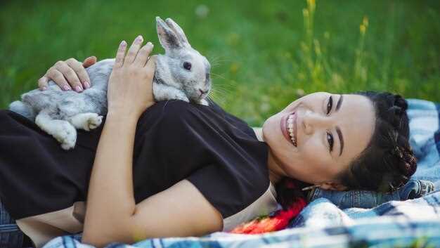 La relación entre una gran liebre gris y los aspectos emocionales