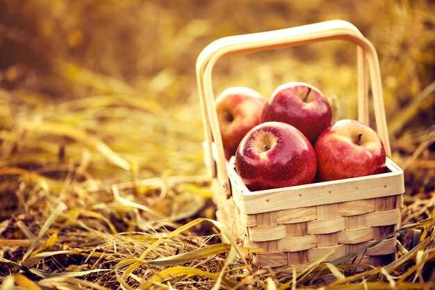 El simbolismo de la abundancia relacionada con una montaña de manzanas